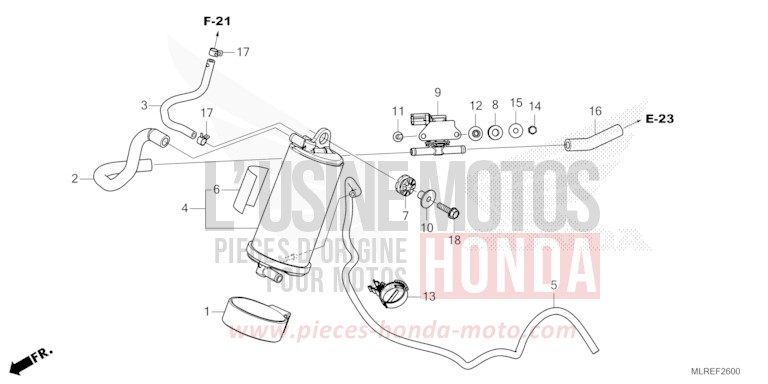 CANISTER for Hornet 500 MAT GUNPOWDER BLACK METALLIC (NH436) from 2024